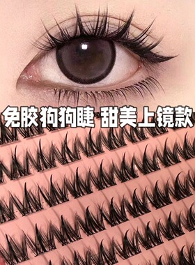 犬系大容量免胶小奶狗假睫毛懒人浓密自然漫画仿真分段新款100簇q