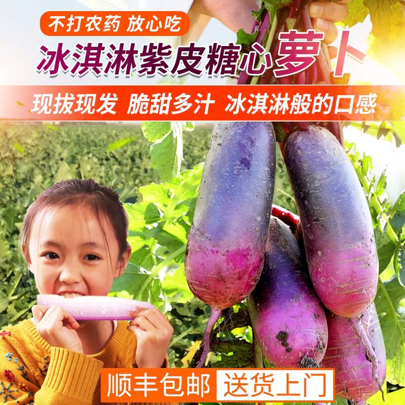 冰淇淋紫皮冰糖心萝卜新鲜山东水果萝卜生吃脆甜多汁蔬菜顺丰包邮属于什么档次？