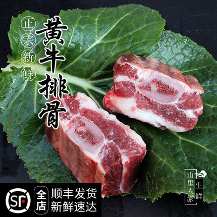 新鲜带肉牛排骨500g/1斤 鲁西黄牛肉农家散养 牛肋排仔排肋条小排