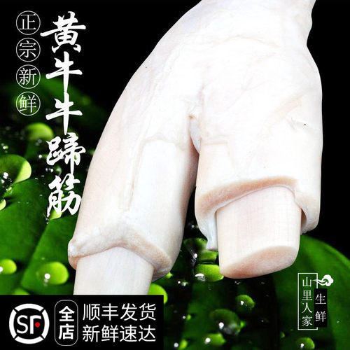 生牛蹄筋500g新鲜黄牛蹄筋