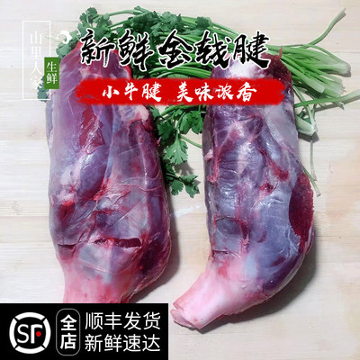 牛肉牛腱子肉新鲜现杀黄牛牛腱子