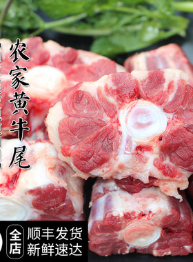 新鲜牛尾巴5斤 山里人家 农家散养正宗黄牛 牛尾骨2500g 当天发货