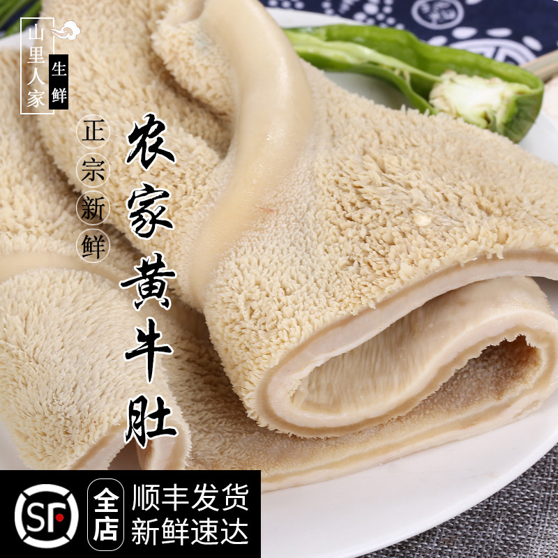 新鲜熟牛肚500g 农家散养黄牛牛肚  火锅食材 毛肚 牛百叶 牛千层 水产肉类/新鲜蔬果/熟食 卤牛肉/牛肉类熟食 原图主图