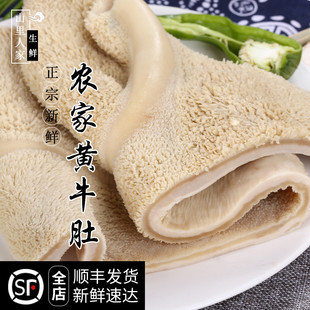 毛肚 牛百叶 牛千层 农家散养黄牛牛肚 新鲜熟牛肚500g 火锅食材