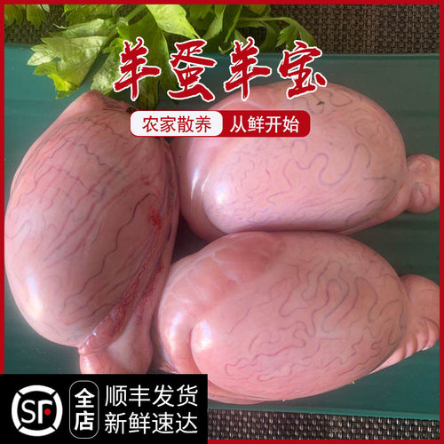 新鲜羊宝1斤农家散养现杀山羊