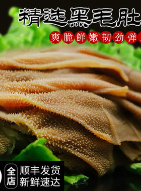 新鲜黑毛肚500g生牛肚农家散养