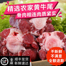 牛尾骨 新鲜牛尾巴500g 牛尾段 1斤 生牛肉 农家散养正宗黄牛牛尾