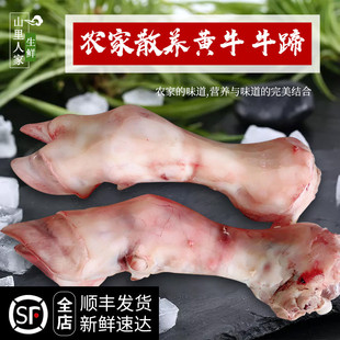 整个6斤左右到货多退少补 切块发货 新鲜牛蹄 农家散养黄牛生牛蹄