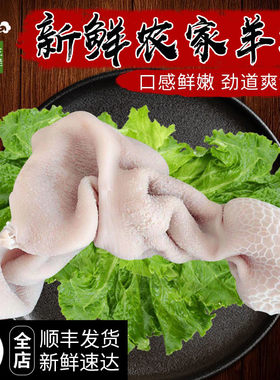 新鲜羊肚羊杂火锅食材肚丝500g