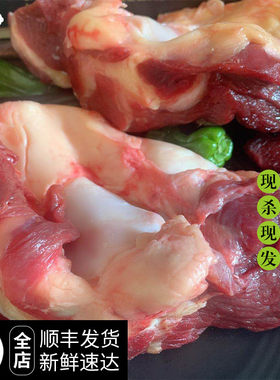 新鲜牛窝骨黄牛膝盖骨牛骨头