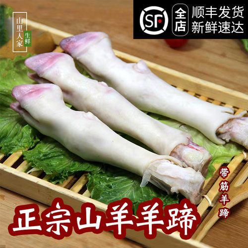 山羊羊蹄新鲜生羊蹄子