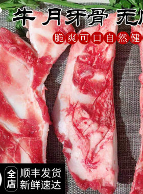 新鲜牛月牙骨煲汤烧烤火锅食材