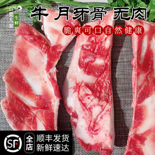 新鲜牛月牙骨500g 现杀黄牛 牛软骨牛脆骨牛骨头煲汤烧烤火锅食材