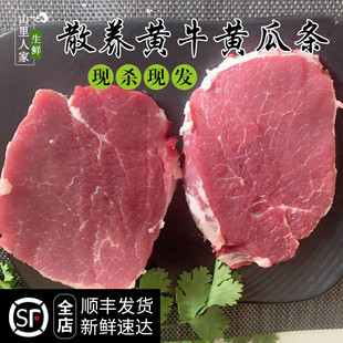 牛腩牛腱 另有牛里脊 新鲜牛肉500g 牛小黄瓜条肉农家放养黄牛肉