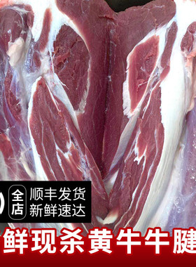 3斤 整根牛腱子肉 现杀农家散养黄牛 新鲜牛肉牛腩生牛肉冷冻发货