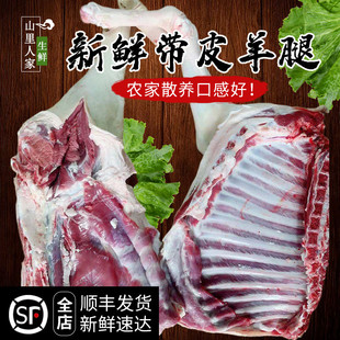 羊前腿 羊腿肉3000g 带皮羊腿 羊排 羊后腿烧烤食材 农家散养山羊