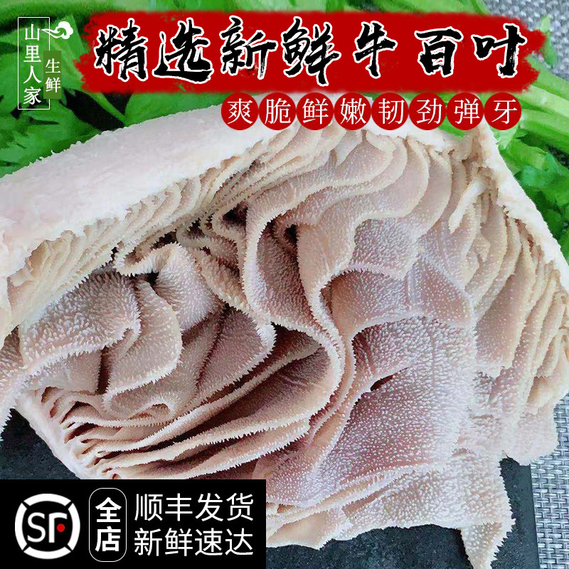 牛百叶500g 毛肚 千层肚 火锅食材 农家散养黄牛 新鲜发货 1斤装