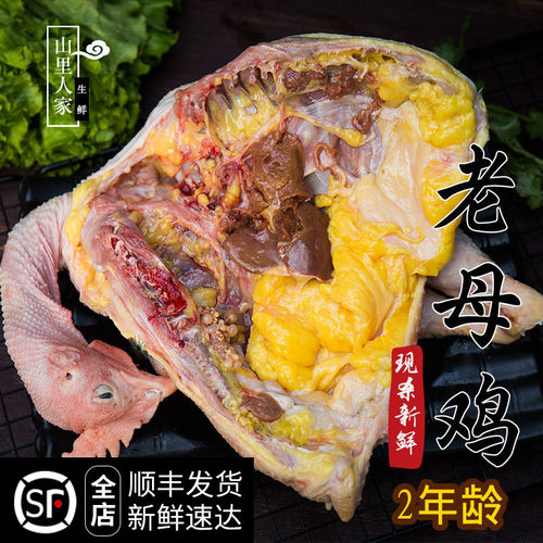 农家散养土鸡新鲜月子鸡现杀