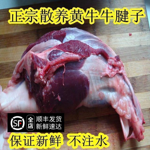 正宗黄牛新鲜牛腱子500g
