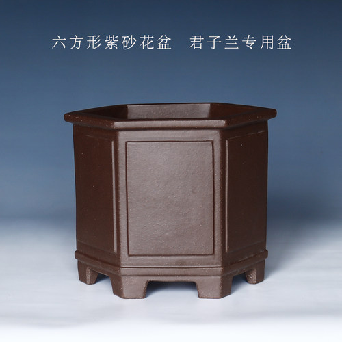 兰花盆陶瓷透气紫砂君子专用兰盆