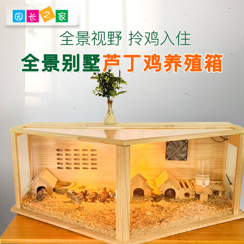 园长之家芦丁鸡养殖箱宠物房子