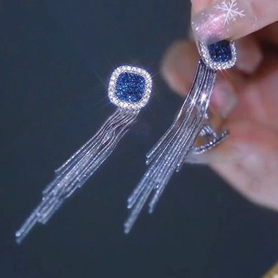 2023年新款潮爆款流苏耳环