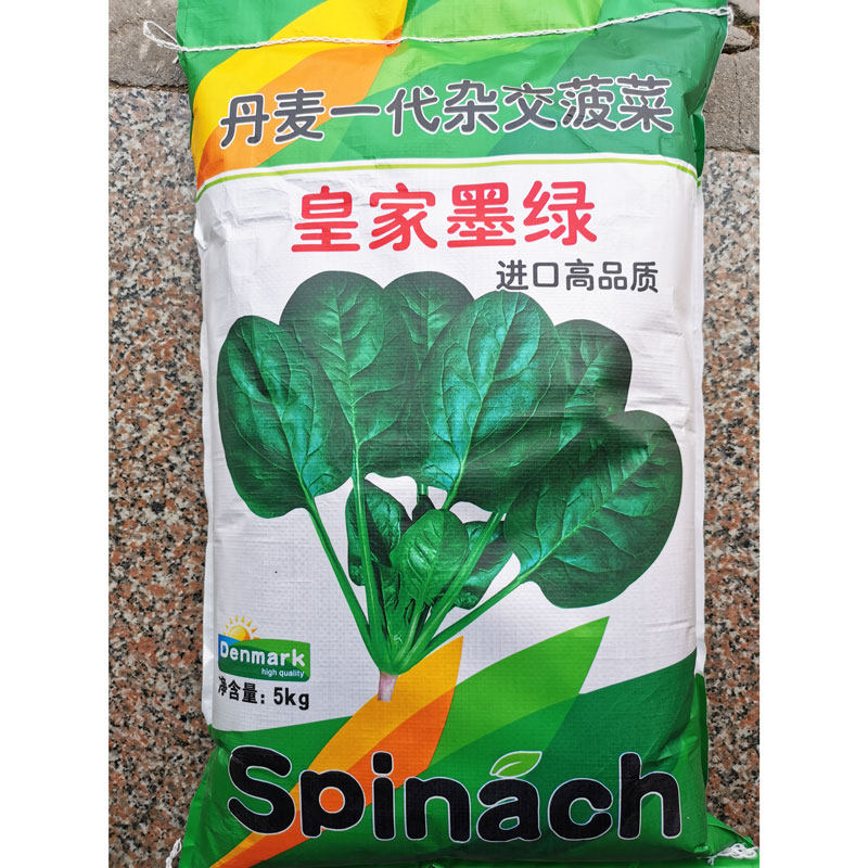 皇家墨绿菠菜种籽高产春秋菠菜种大田黑圆叶红根进口菠菜种子