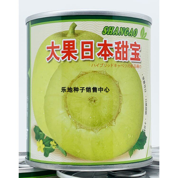 大果日本甜宝甜瓜种籽高产春秋播蔬菜种子/种苗