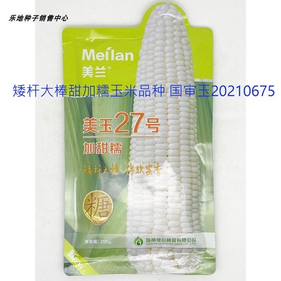 美兰美玉27号矮杆大棒