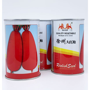 双狮大红袖萝卜种籽高产耐热秋冬红皮白肉徐州大红袍萝卜种子