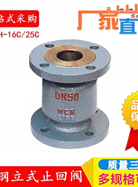 H42H新款-16C 25C铸钢止回阀立式单向阀DN25DN405080逆止阀水管