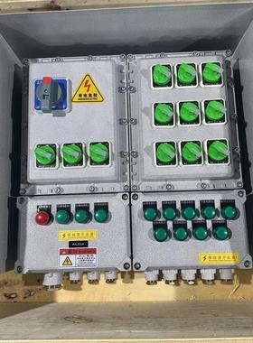 防爆配电装置（照明动力配电箱）户外带防雨罩 ExdbebIIBT4 IP66