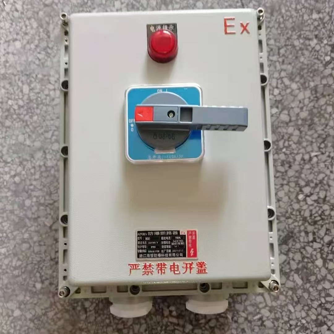 防爆塑壳断路器 BXDZ(BXL)-100A160A200A250A防爆负荷开关大电流