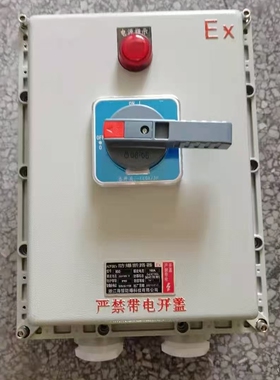 防爆塑壳断路器 BXDZ(BXL)-100A160A200A250A防爆负荷开关大电流