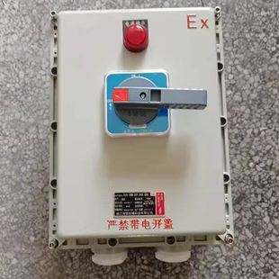 防爆塑壳断路器 BXDZ(BXL)-100A160A200A250A防爆负荷开关大电流