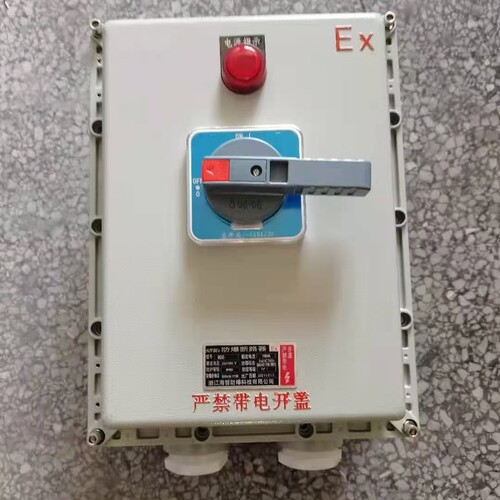 防爆塑壳断路器 BXDZ(BXL)-100A160A200A250A防爆负荷开关大电流