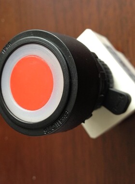 防爆带灯按钮BAD8050-DC24V/220V/380V带灯防爆按钮红绿黄白30mm