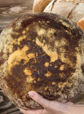 传统德国黑麦酸面包Steinofenbrot Rye Sourdough无油无糖素食1kg