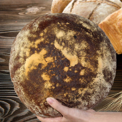 传统德国黑麦酸面包Steinofenbrot Rye Sourdough无油无糖素食1kg