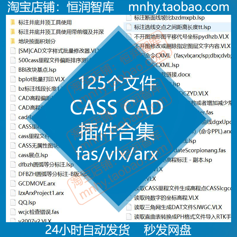 CASS CAD插件合集工程断面绘制剖切等高线高程偏距标注标高简码