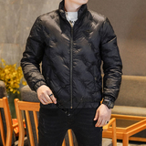 Y9802P2902025高端冬季90%白鸭绒绣花立领羽绒服真模335，男装羽绒服，钱塘6016-1(原3019)
