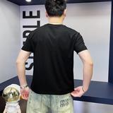 2025年新款短袖T恤钱塘3019TX3012P75真模，男装T恤，钱塘6016-1(原3019)