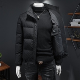 Y9560P3302024高端冬季90%白鸭绒提花立领羽绒服假模385，男装羽绒服，钱塘6016-1(原3019)
