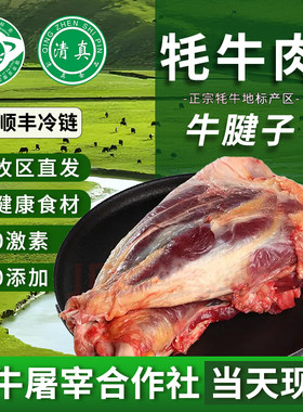 牦牛清真4斤装牛腱子肉新鲜当天现杀牦牛肉高原散养整块生鲜青海