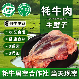 牦牛清真4斤装 牛腱子肉新鲜当天现杀牦牛肉高原散养整块生鲜青海