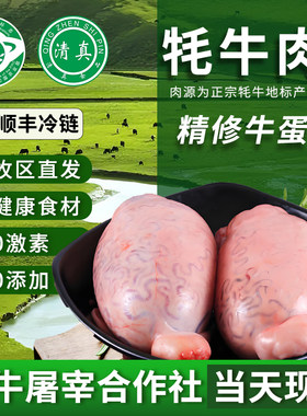 清真现宰牛鞭5斤青海全套新鲜
