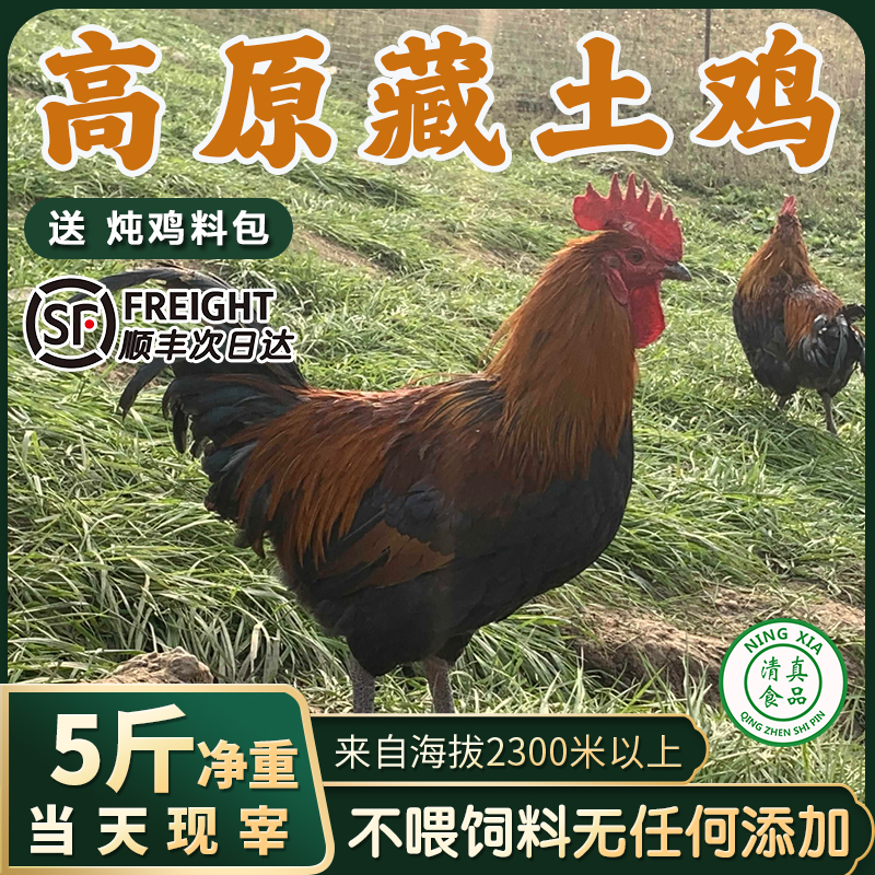 土公鸡土鸡农家散养鸡肉新鲜整只
