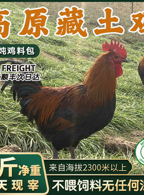 土公鸡土鸡农家散养鸡肉新鲜整只