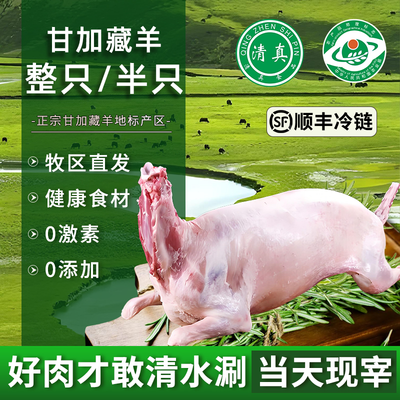 西北青海兰州临夏甘肃包邮羊肉