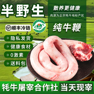 清真现宰牦牛鞭纯牛鞭不含蛋商用不含牛宝新鲜速冻整只牛三宝